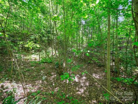 99999 Millbrae Loop Hendersonville NC 28791