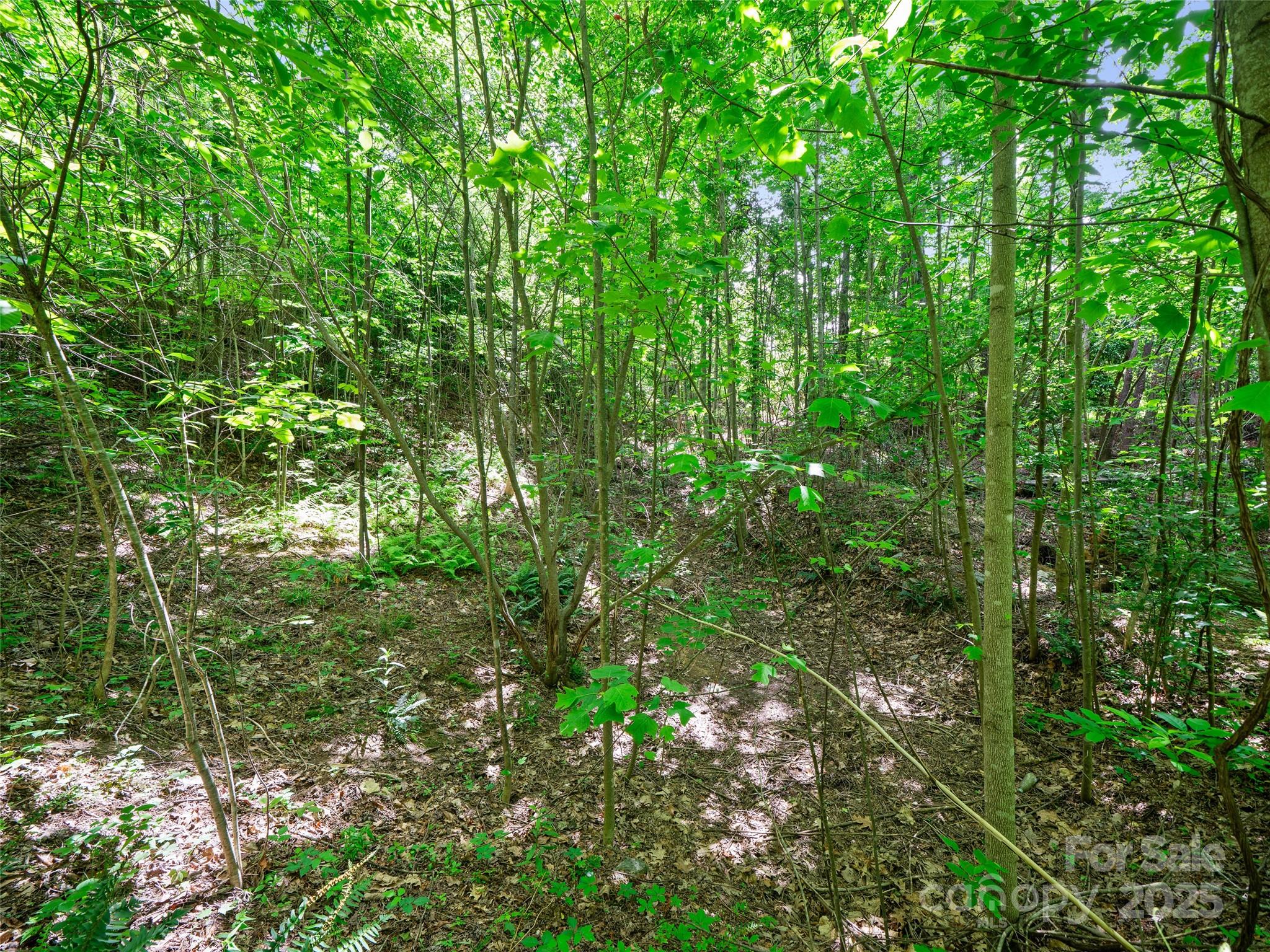 99999 Millbrae Loop Hendersonville NC 28791