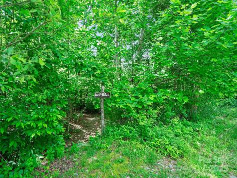 99999 Millbrae Loop Hendersonville NC 28791
