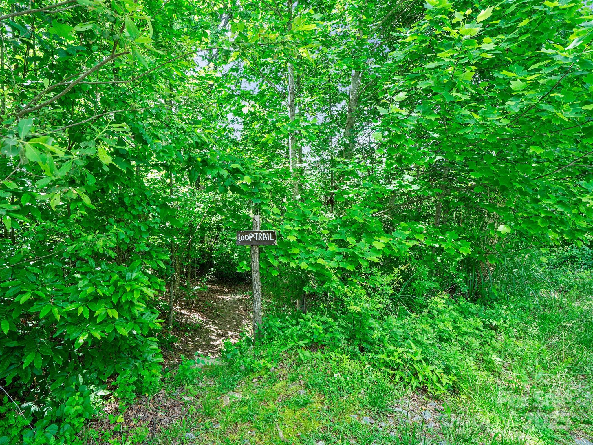 99999 Millbrae Loop Hendersonville NC 28791