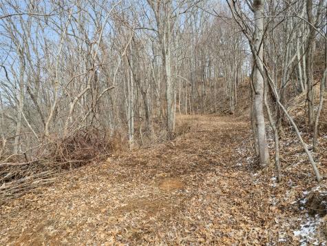 Lot #5 Viewpoint Mountain Waynesville NC 28786