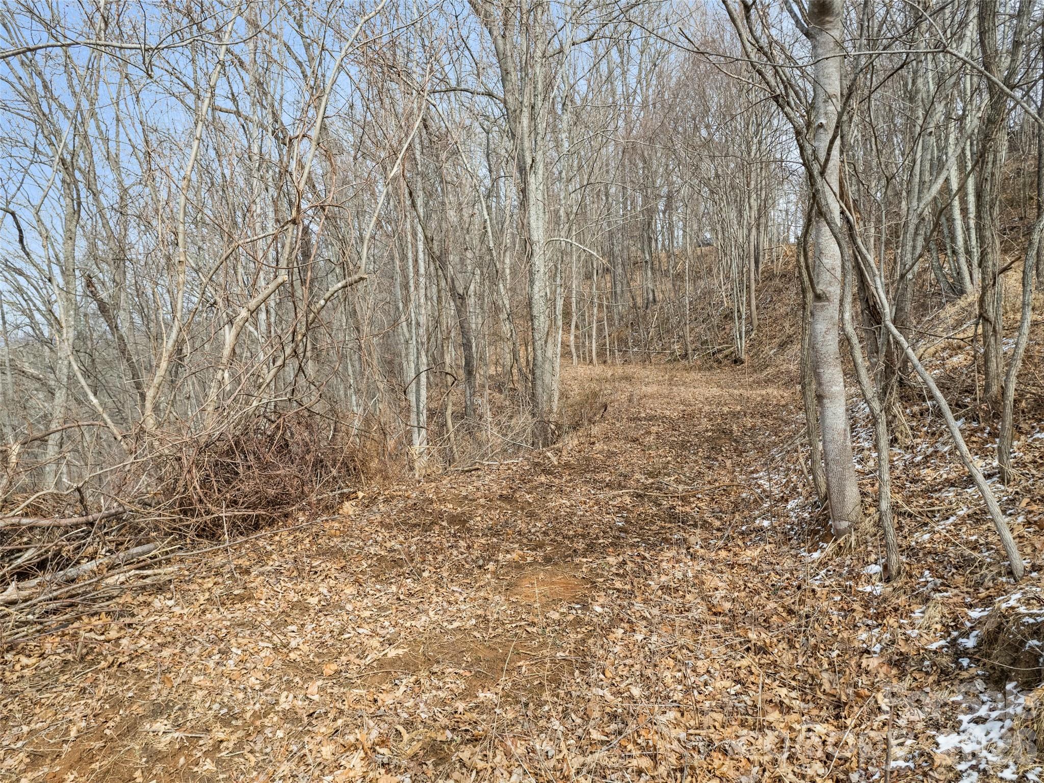 Lot #5 Viewpoint Mountain Waynesville NC 28786