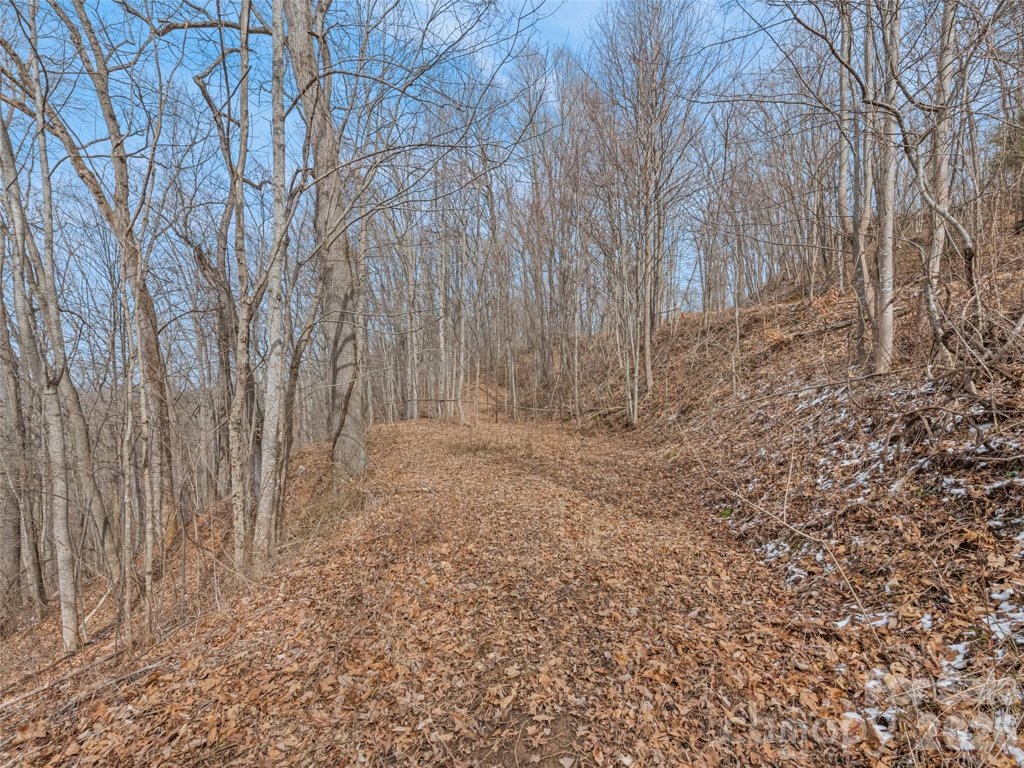Lot #5 Viewpoint Mountain Waynesville NC 28786