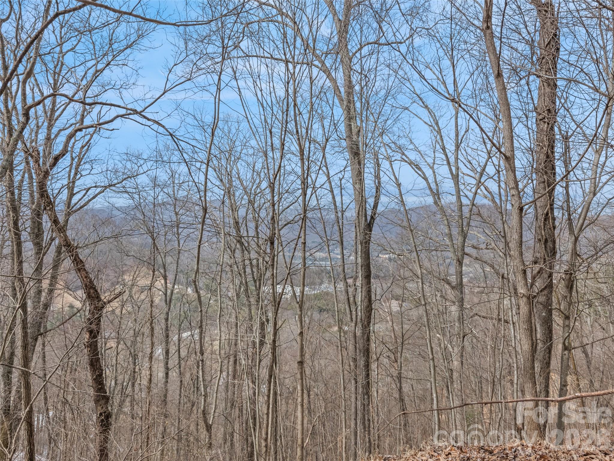Lot #5 Viewpoint Mountain Waynesville NC 28786