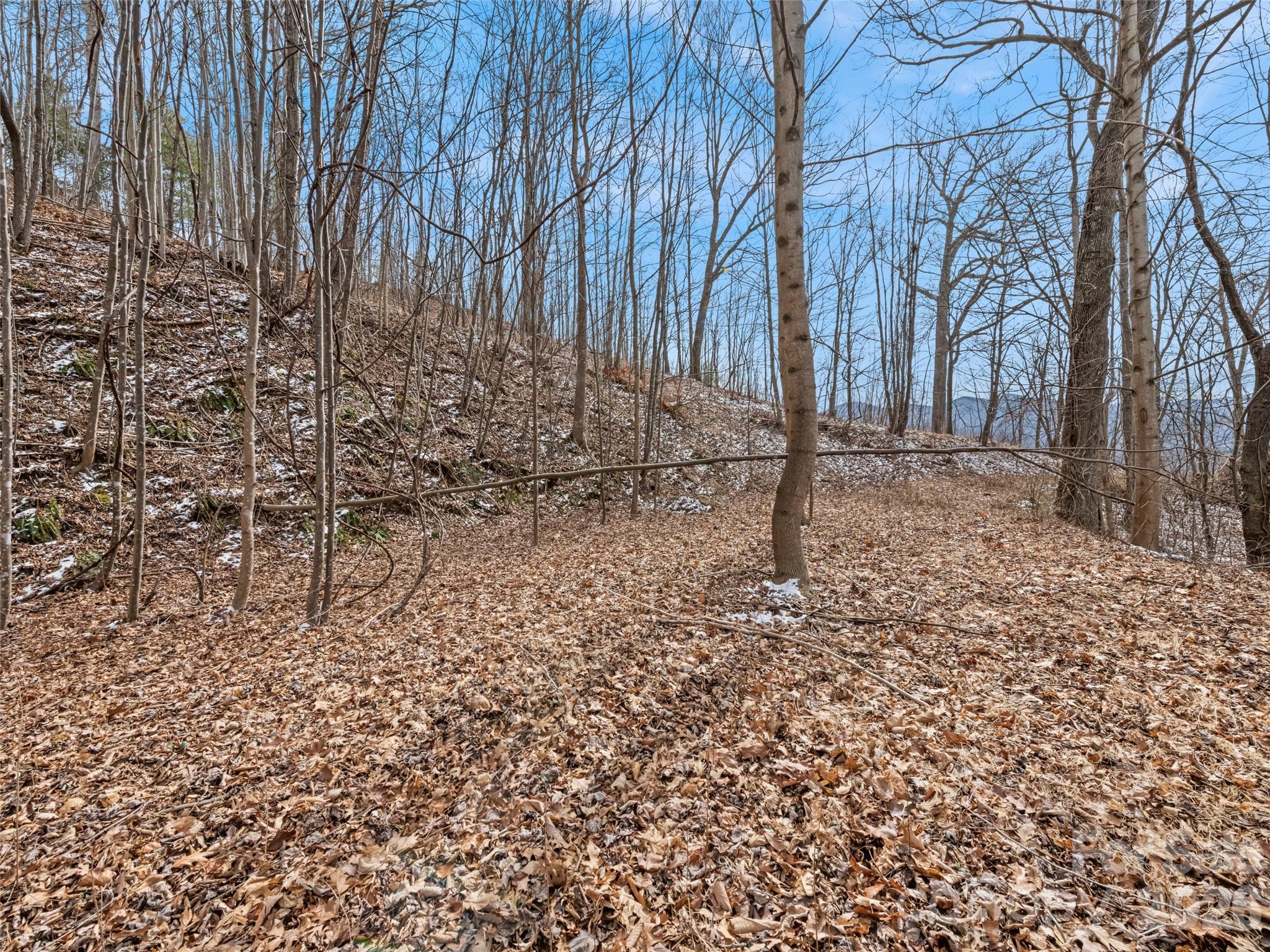 Lot #5 Viewpoint Mountain Waynesville NC 28786