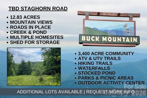 Tbd Staghorn Road Purlear NC 28665