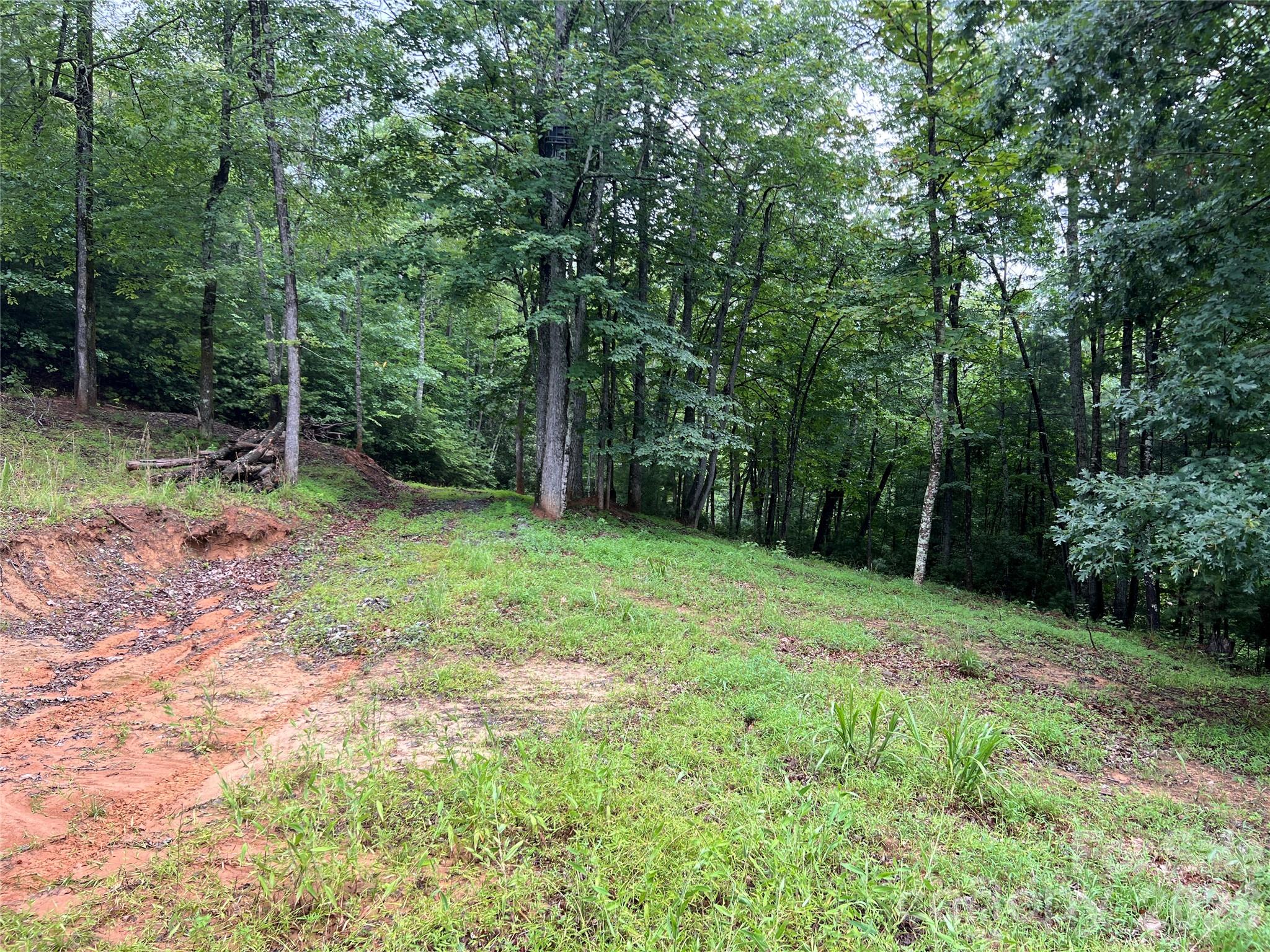 Tbd Staghorn Road Purlear NC 28665