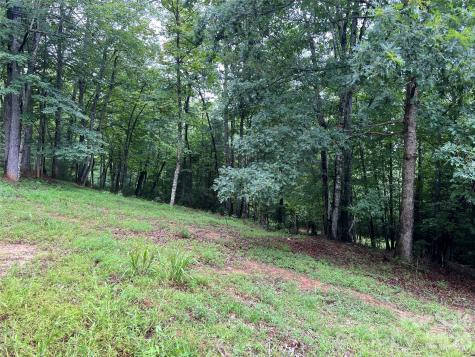 Tbd Staghorn Road Purlear NC 28665