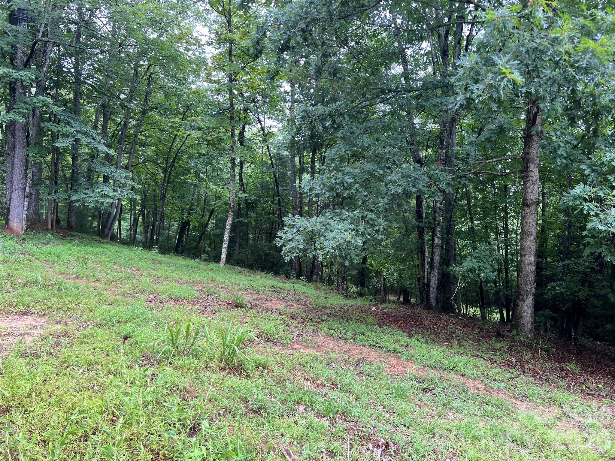 Tbd Staghorn Road Purlear NC 28665