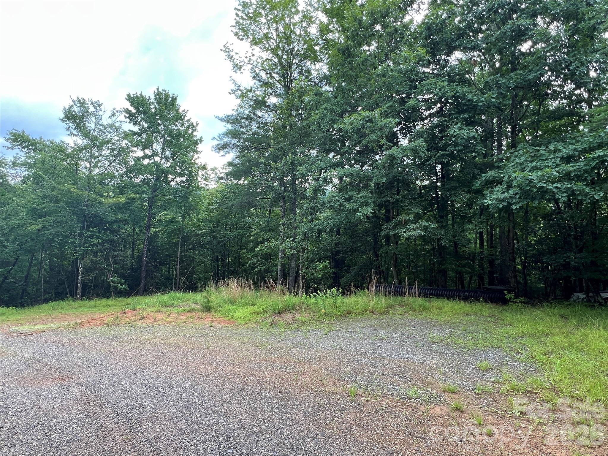 Tbd Staghorn Road Purlear NC 28665
