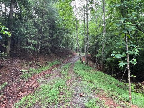Tbd Staghorn Road Purlear NC 28665