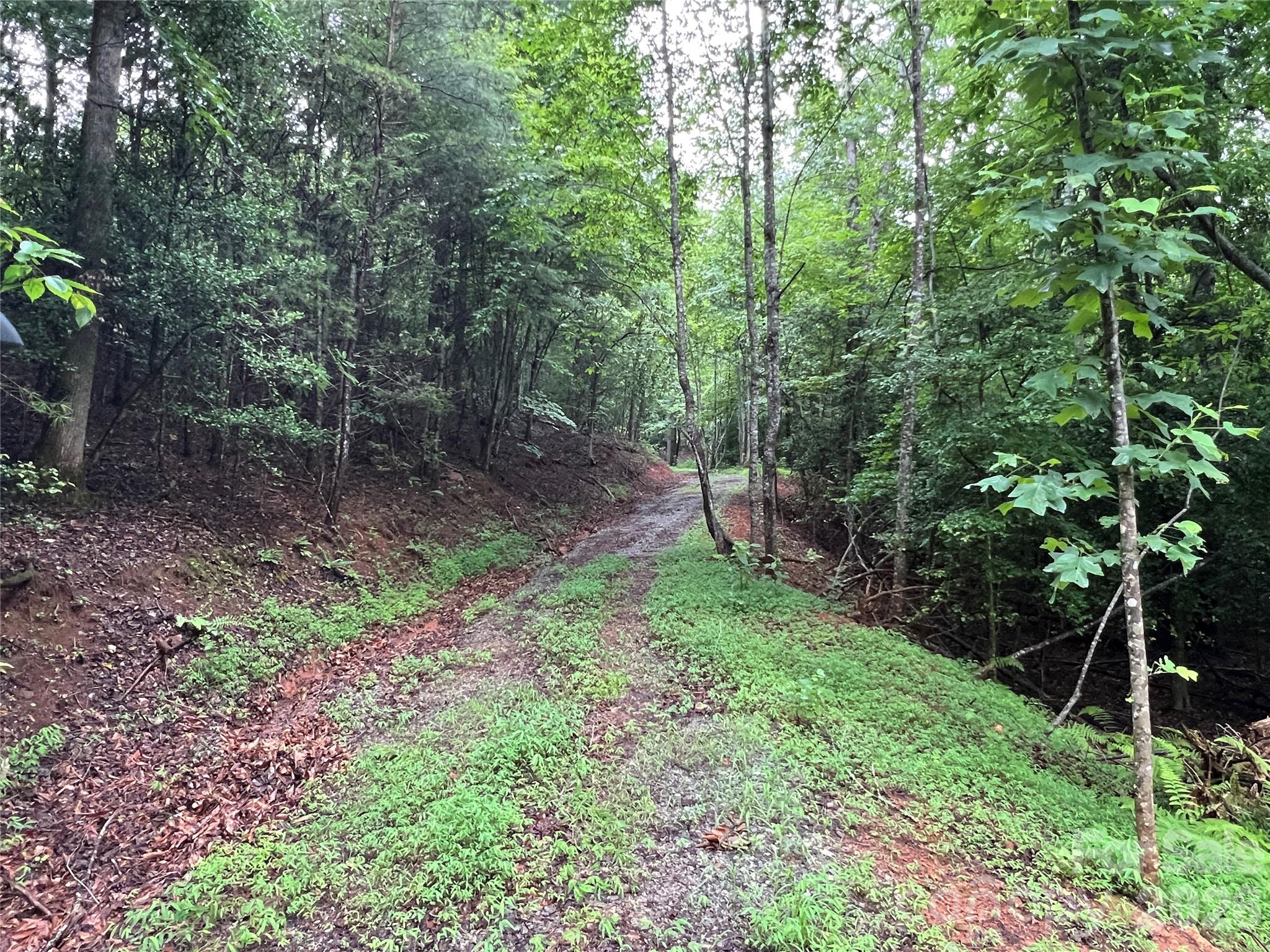 Tbd Staghorn Road Purlear NC 28665
