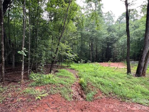 Tbd Staghorn Road Purlear NC 28665