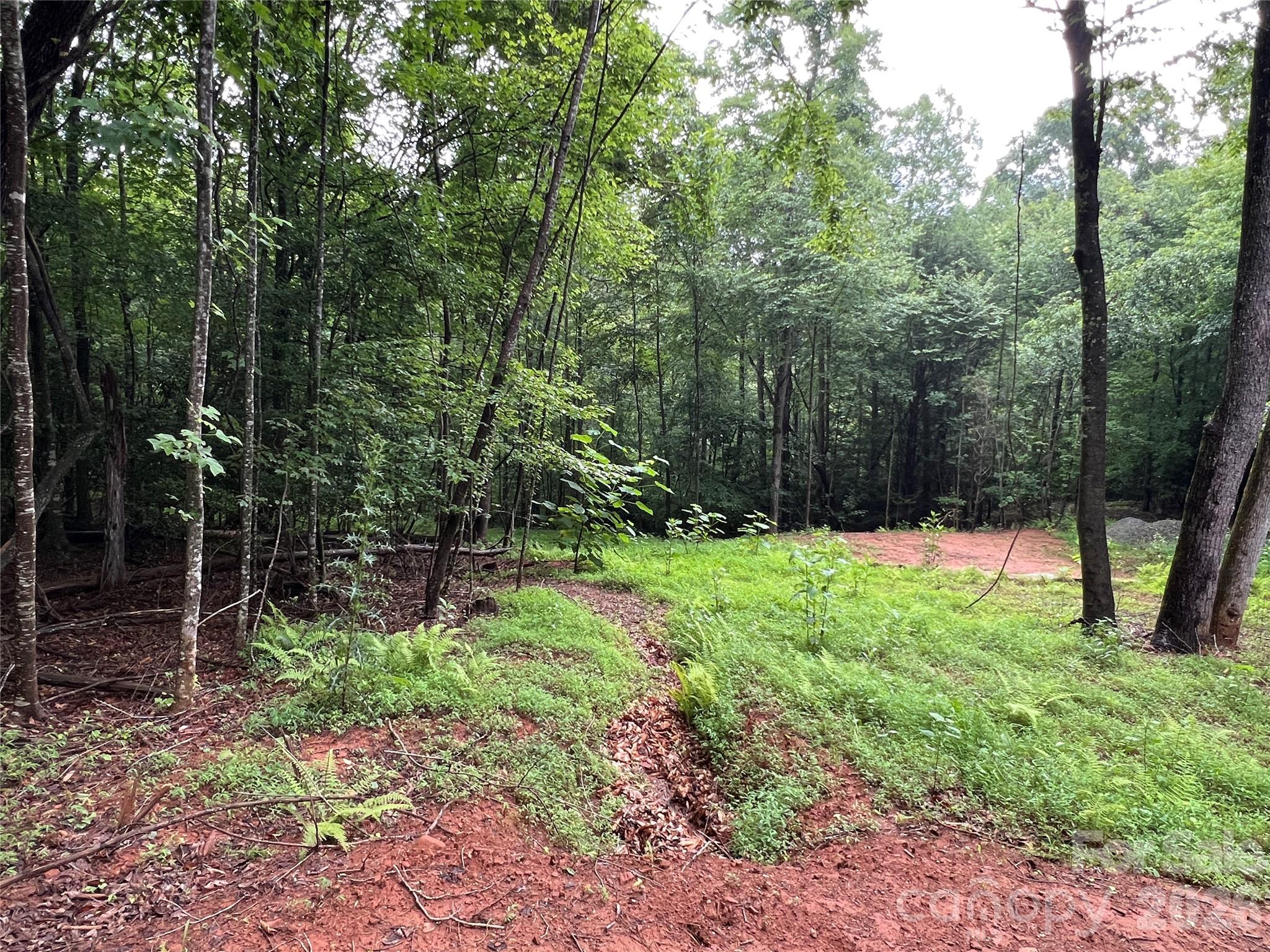 Tbd Staghorn Road Purlear NC 28665