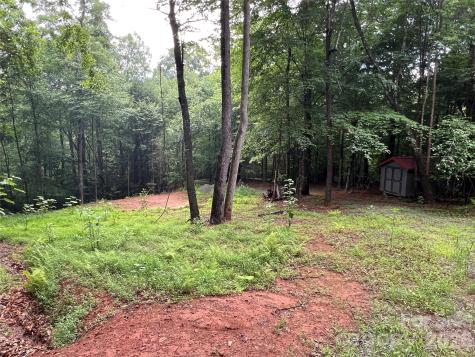 Tbd Staghorn Road Purlear NC 28665