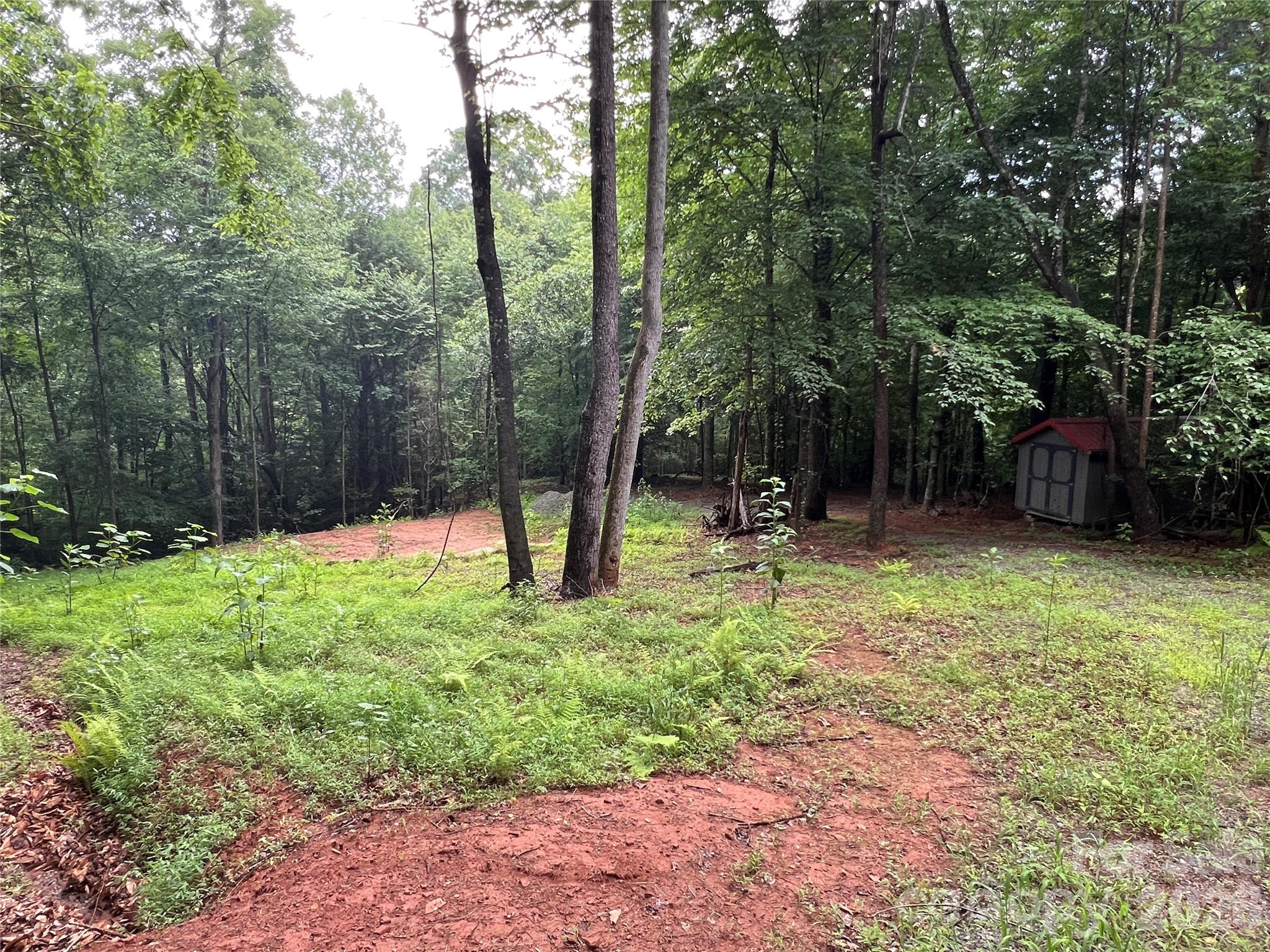 Tbd Staghorn Road Purlear NC 28665