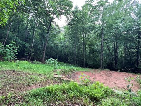 Tbd Staghorn Road Purlear NC 28665