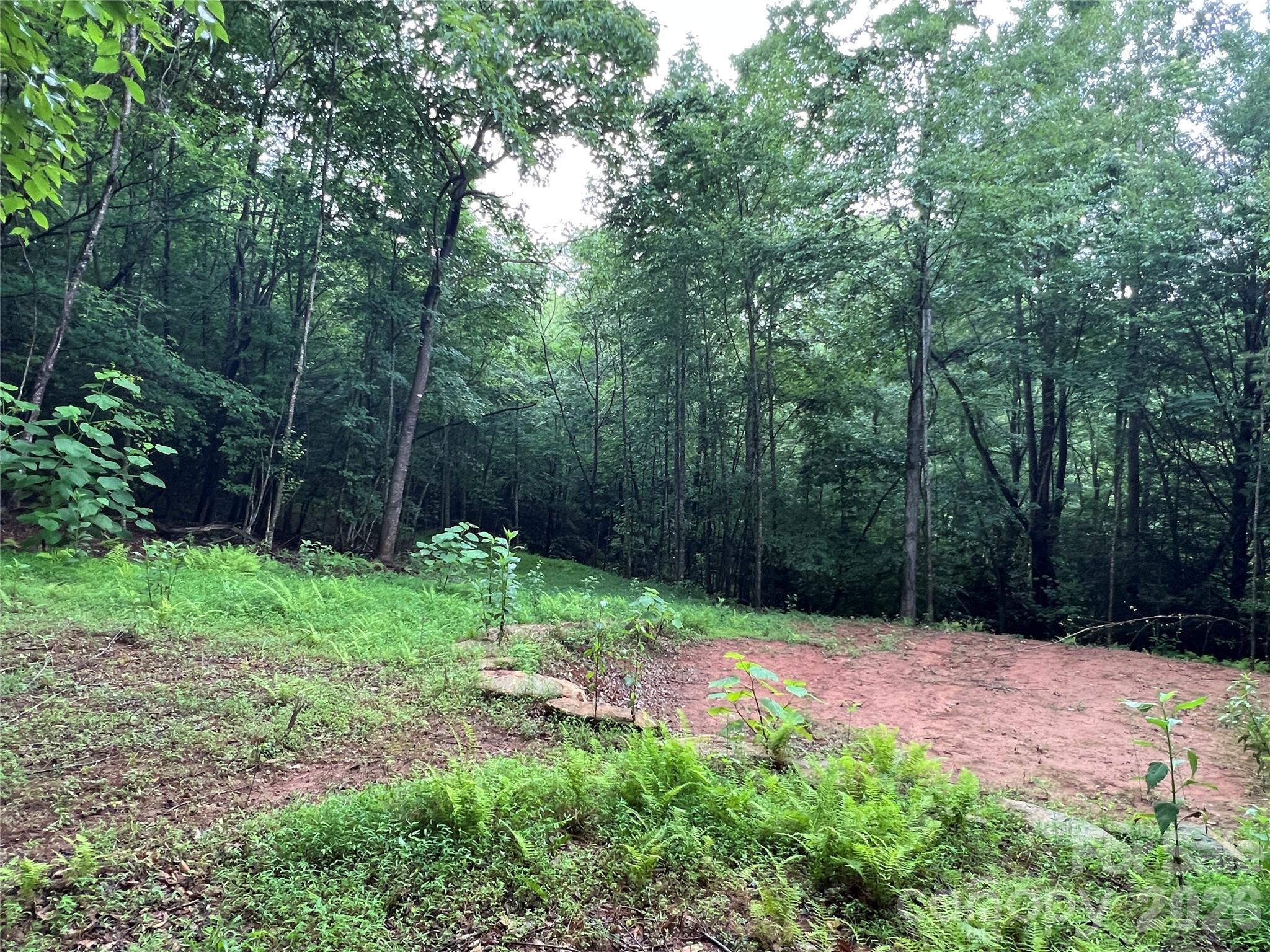 Tbd Staghorn Road Purlear NC 28665