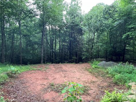 Tbd Staghorn Road Purlear NC 28665