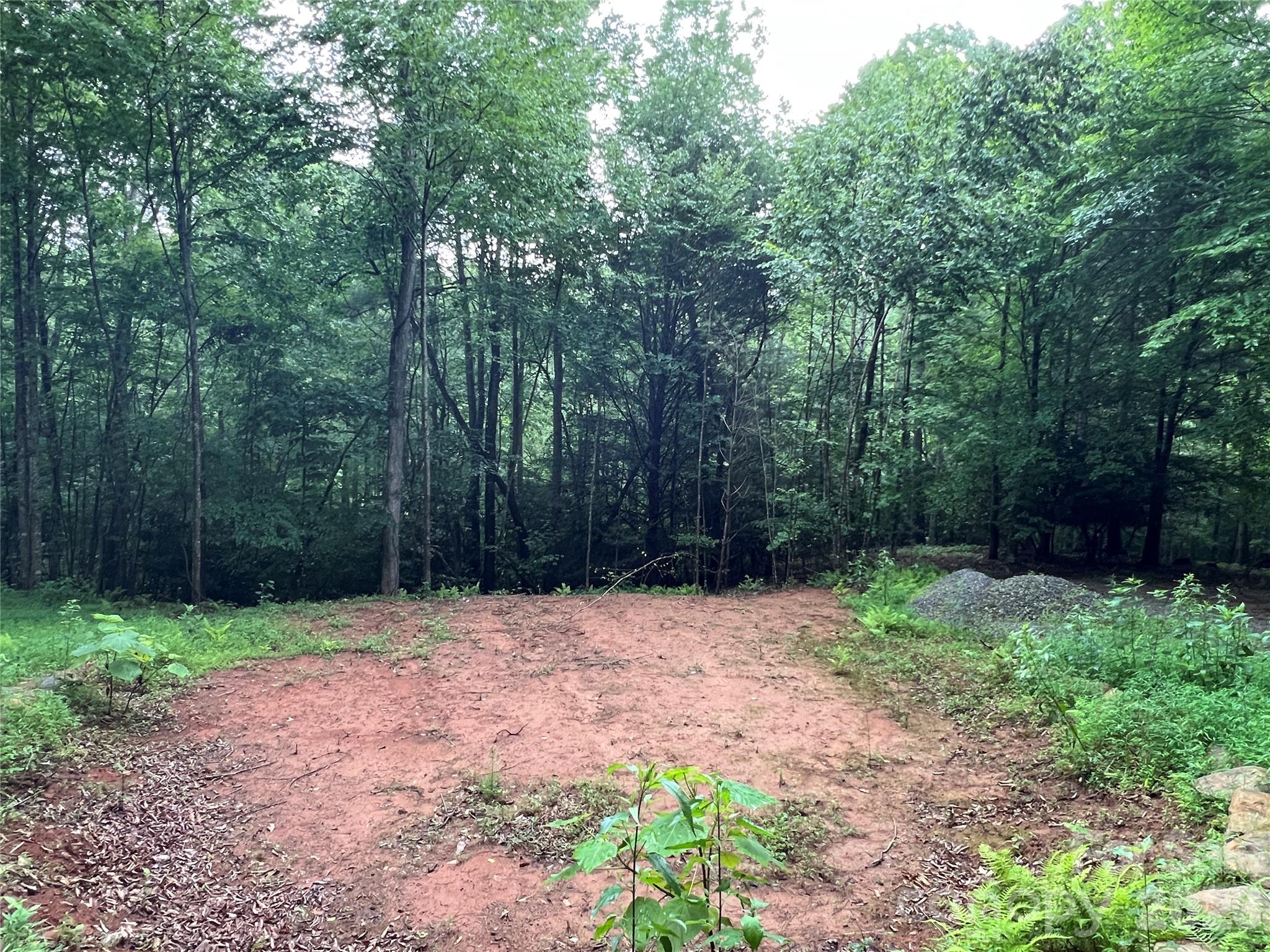 Tbd Staghorn Road Purlear NC 28665