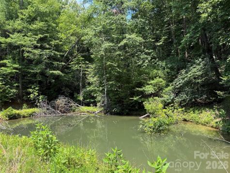 Tbd Staghorn Road Purlear NC 28665