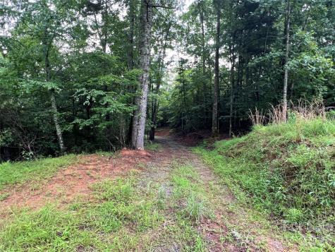 Tbd Staghorn Road Purlear NC 28665