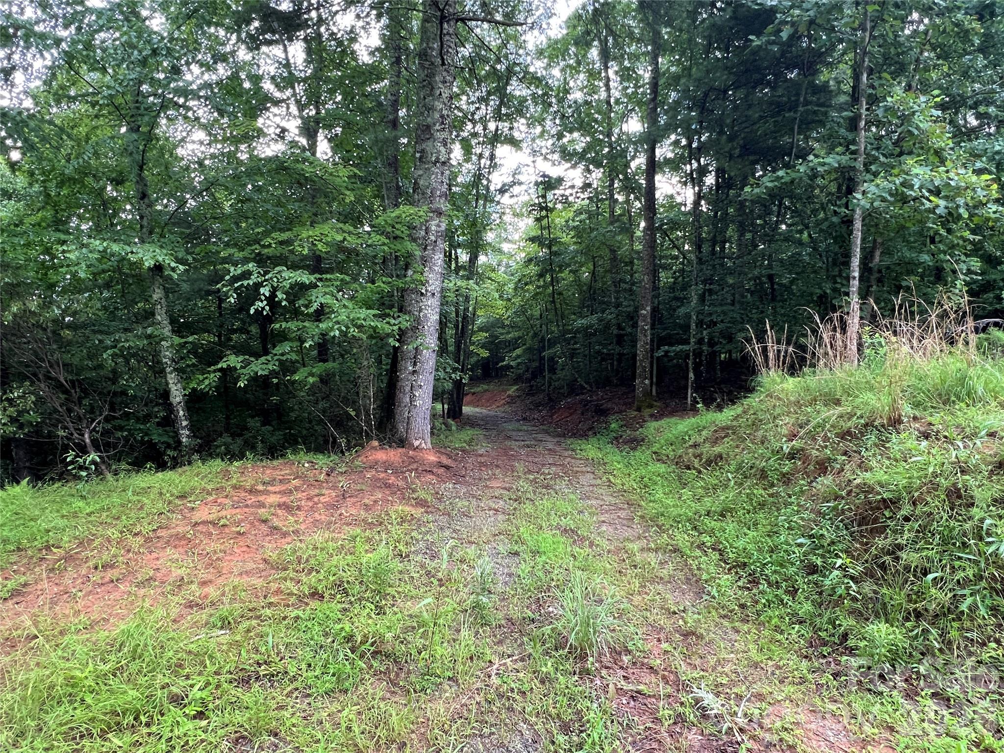 Tbd Staghorn Road Purlear NC 28665