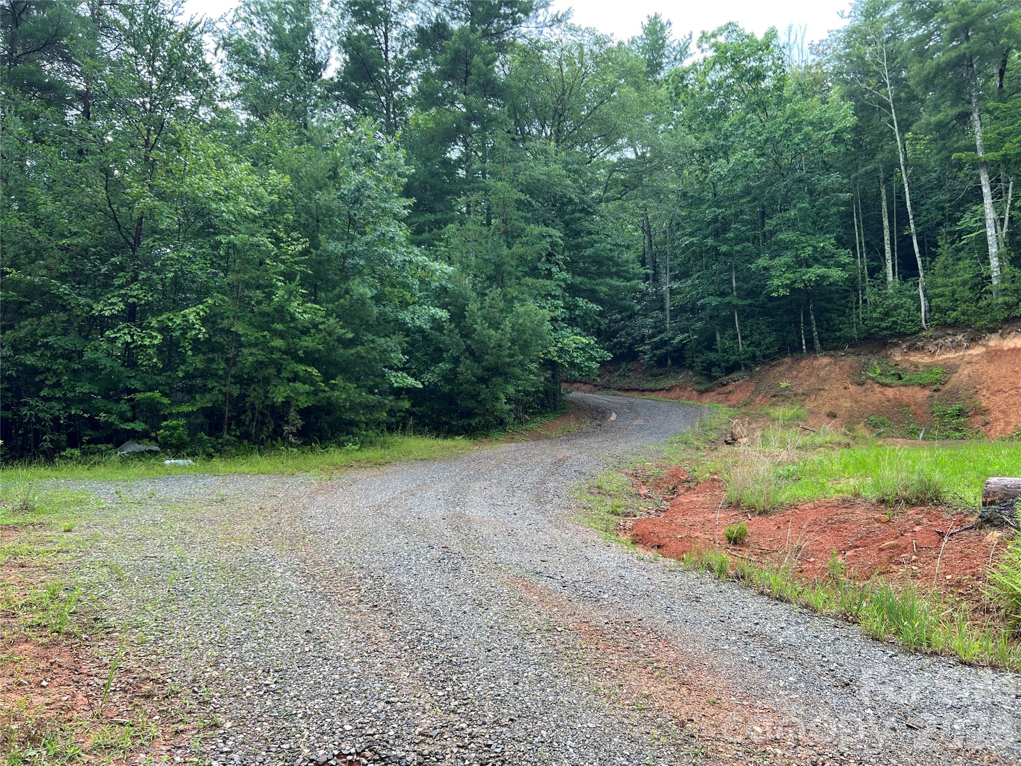 Tbd Staghorn Road Purlear NC 28665