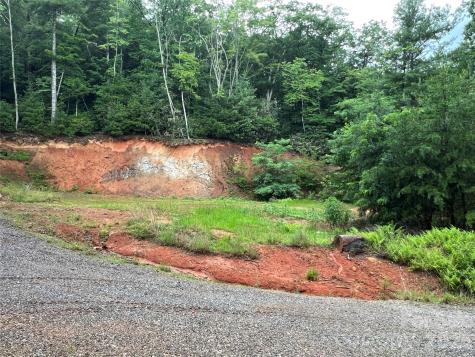 Tbd Staghorn Road Purlear NC 28665