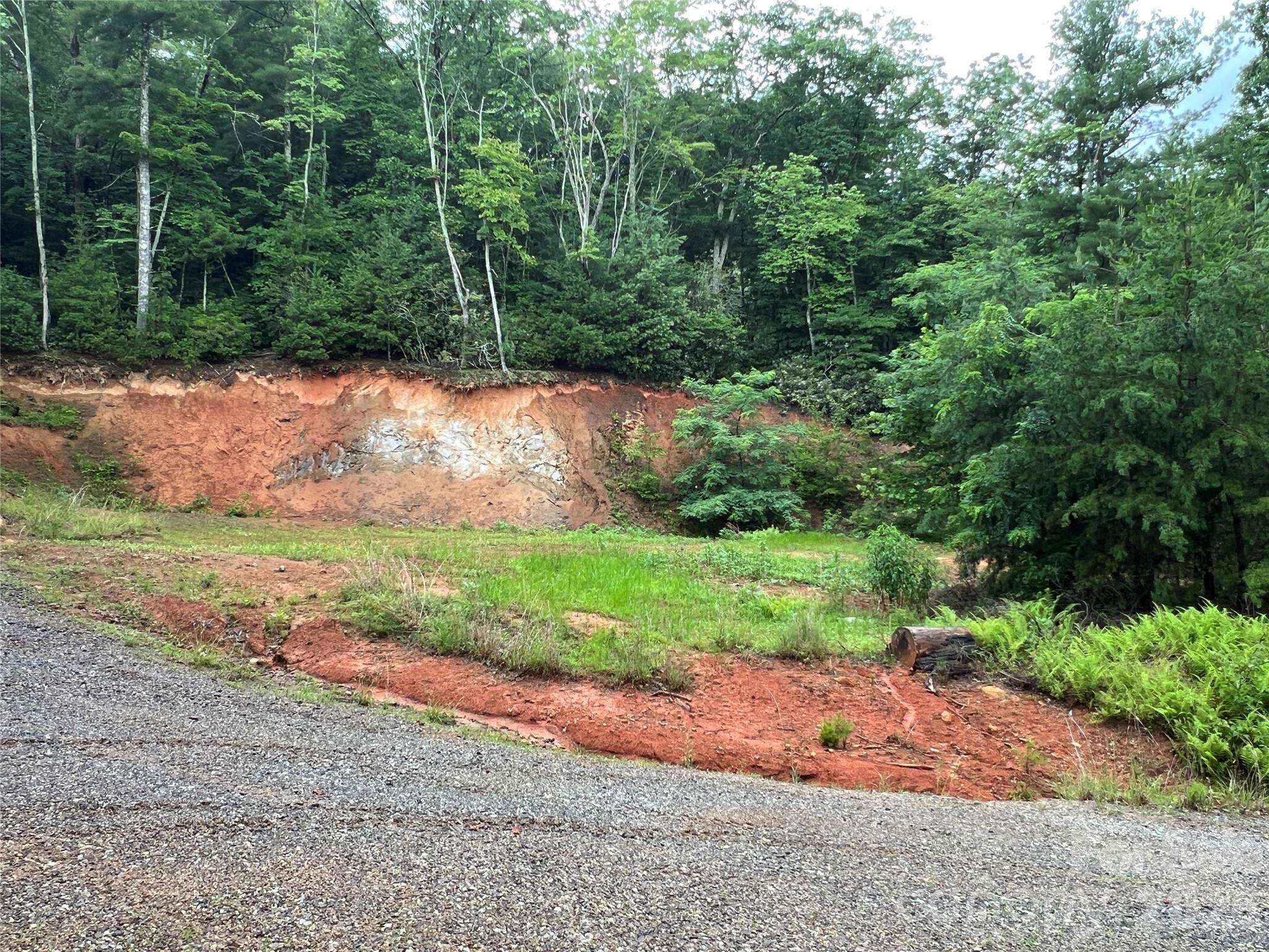 Tbd Staghorn Road Purlear NC 28665