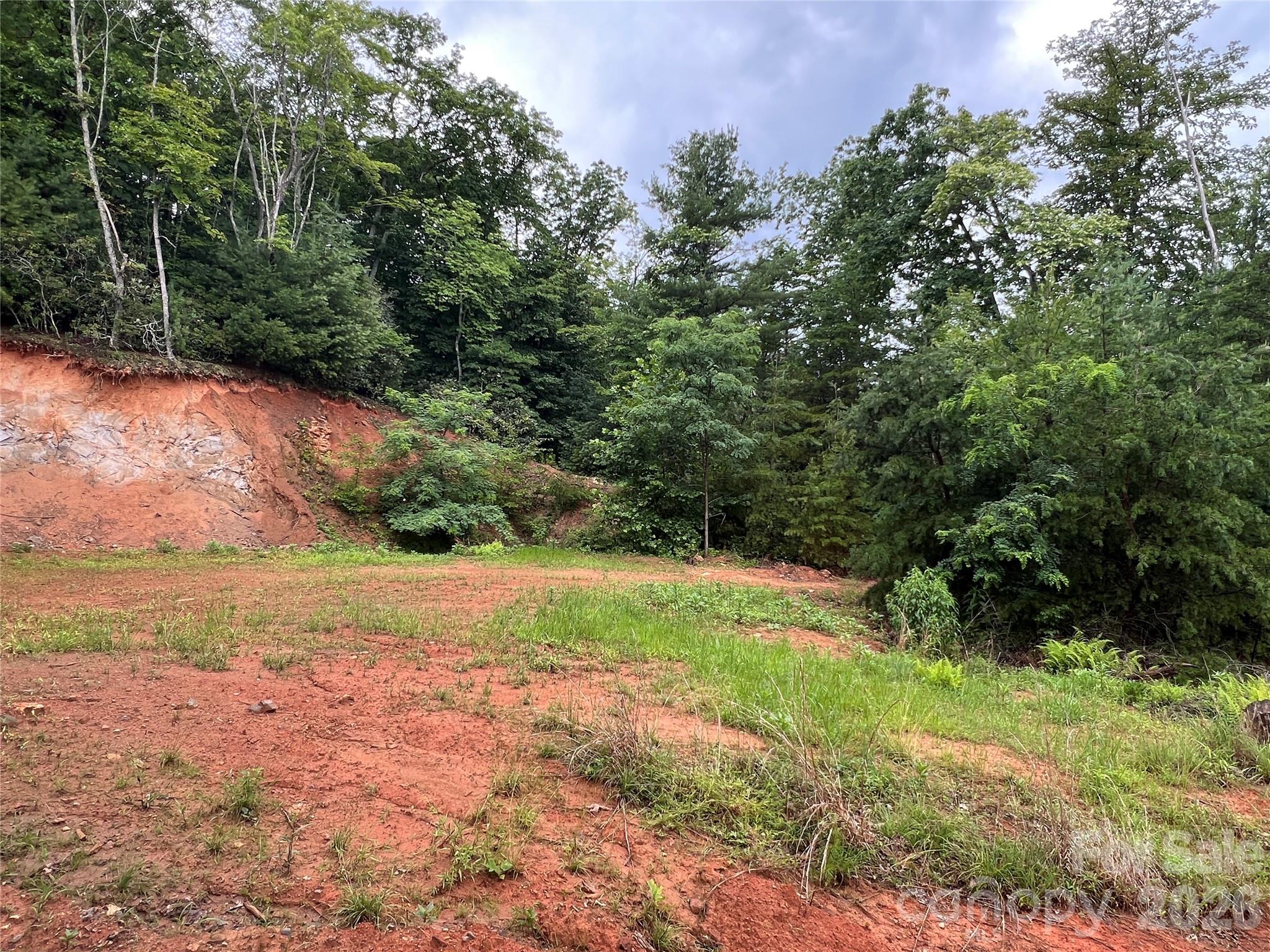 Tbd Staghorn Road Purlear NC 28665