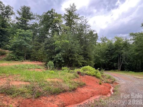 Tbd Staghorn Road Purlear NC 28665