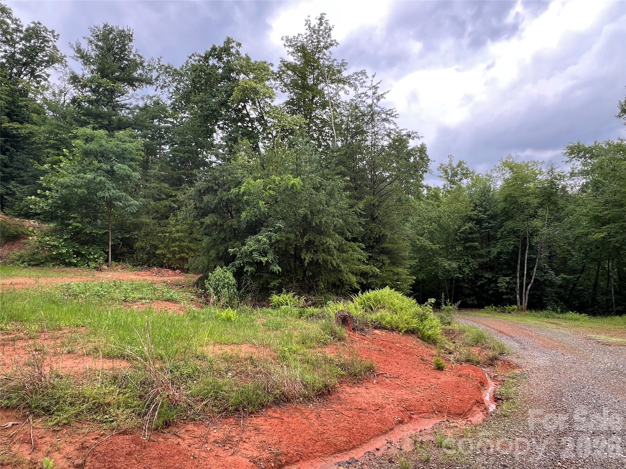 Tbd Staghorn Road Purlear NC 28665