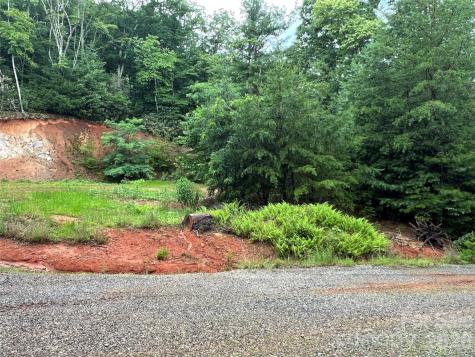 Tbd Staghorn Road Purlear NC 28665