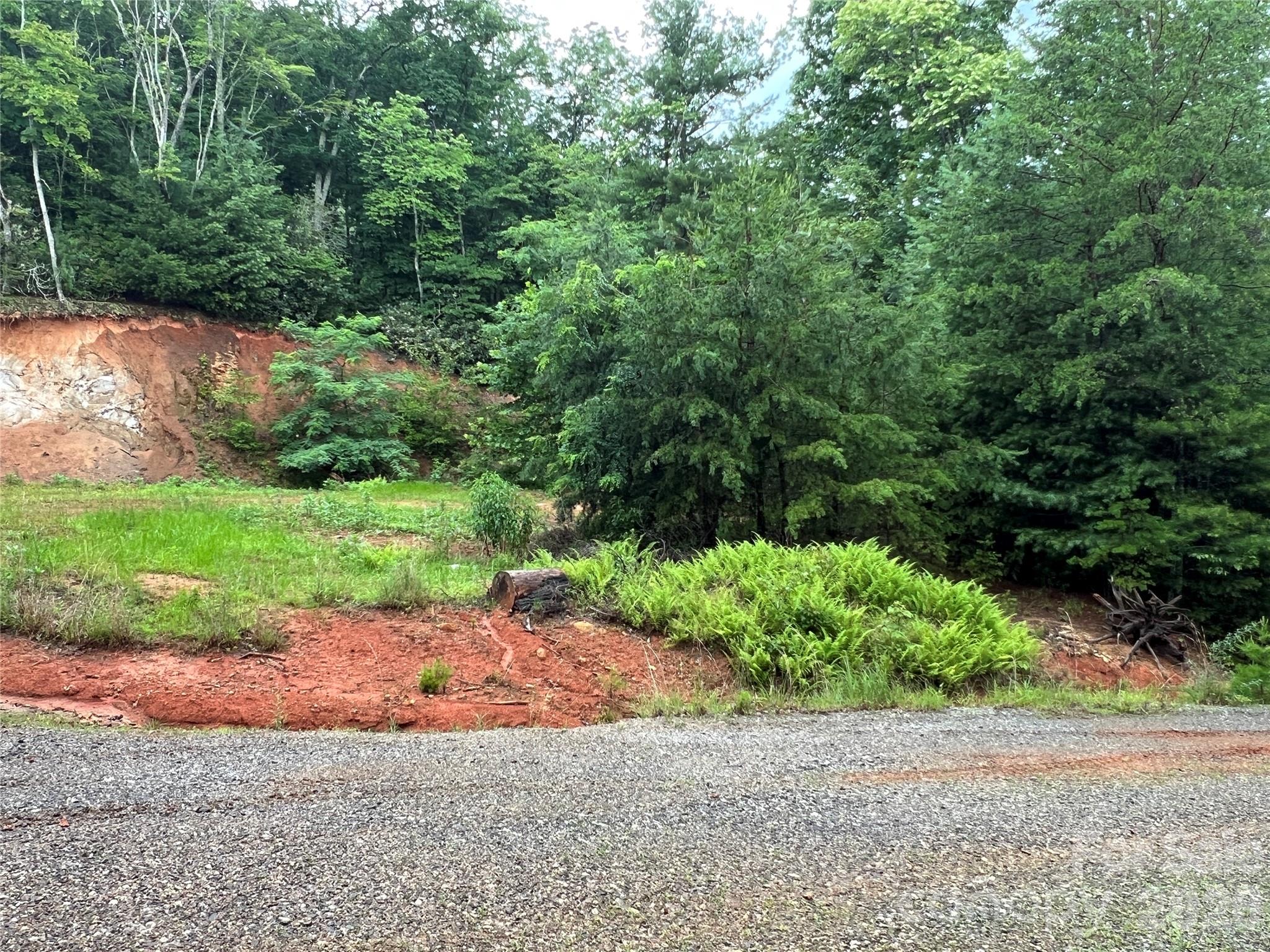 Tbd Staghorn Road Purlear NC 28665