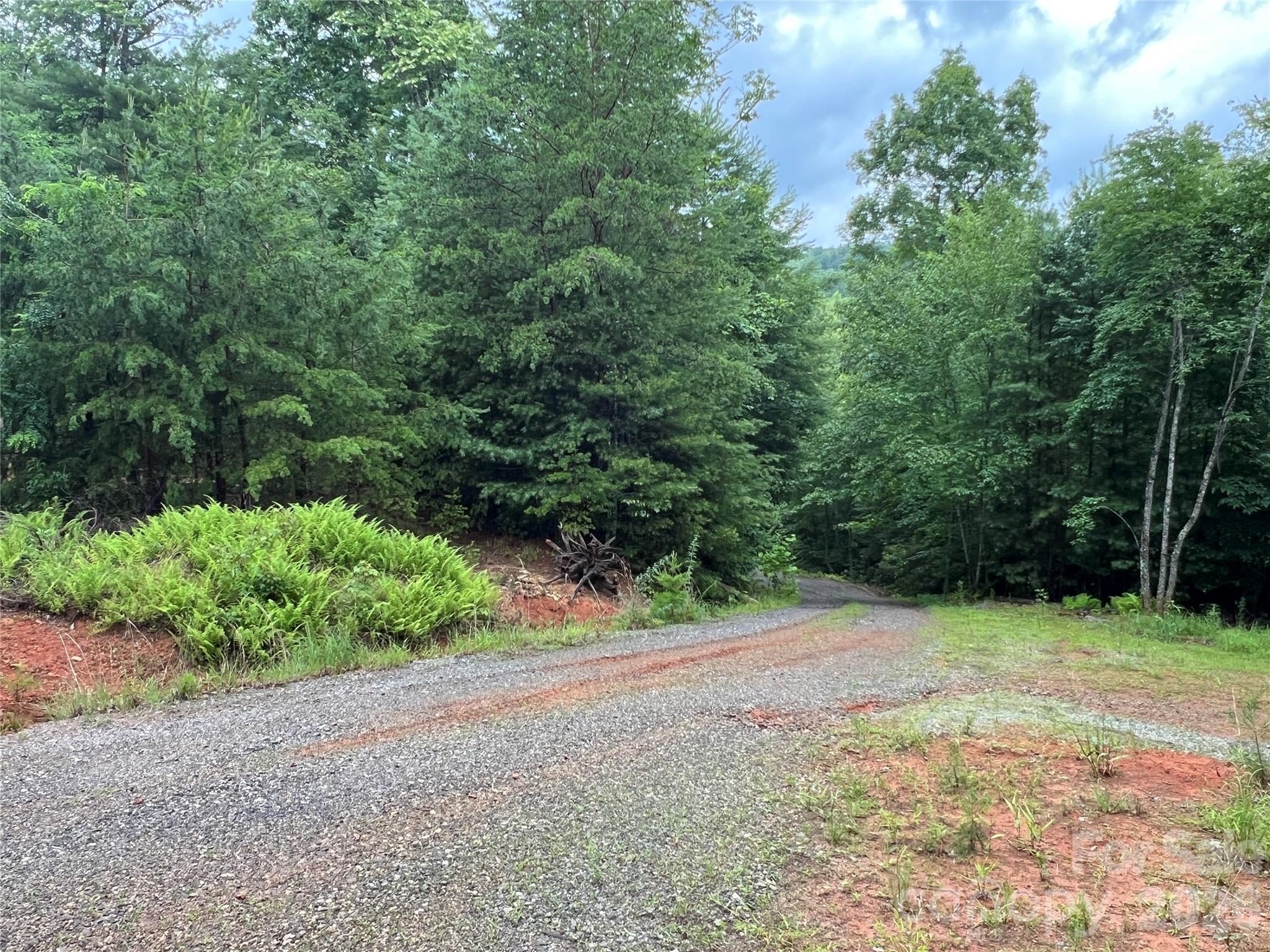 Tbd Staghorn Road Purlear NC 28665