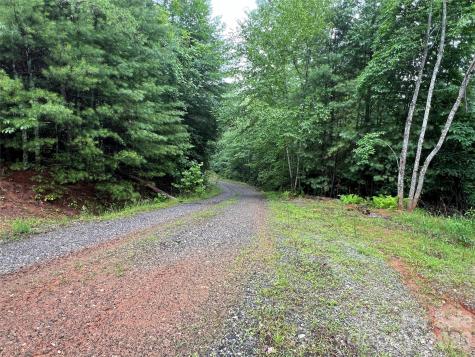 Tbd Staghorn Road Purlear NC 28665