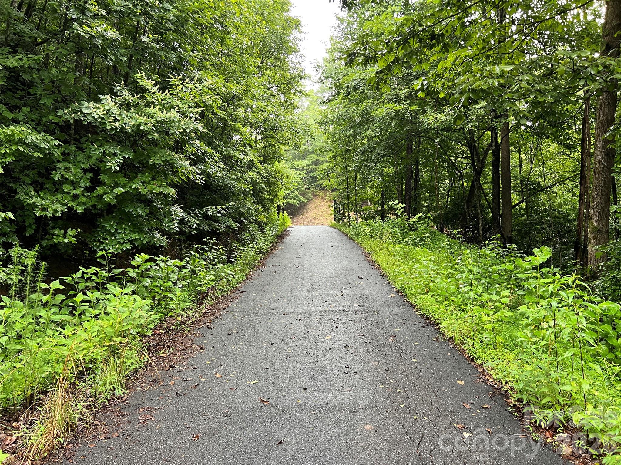 Tbd Staghorn Road Purlear NC 28665