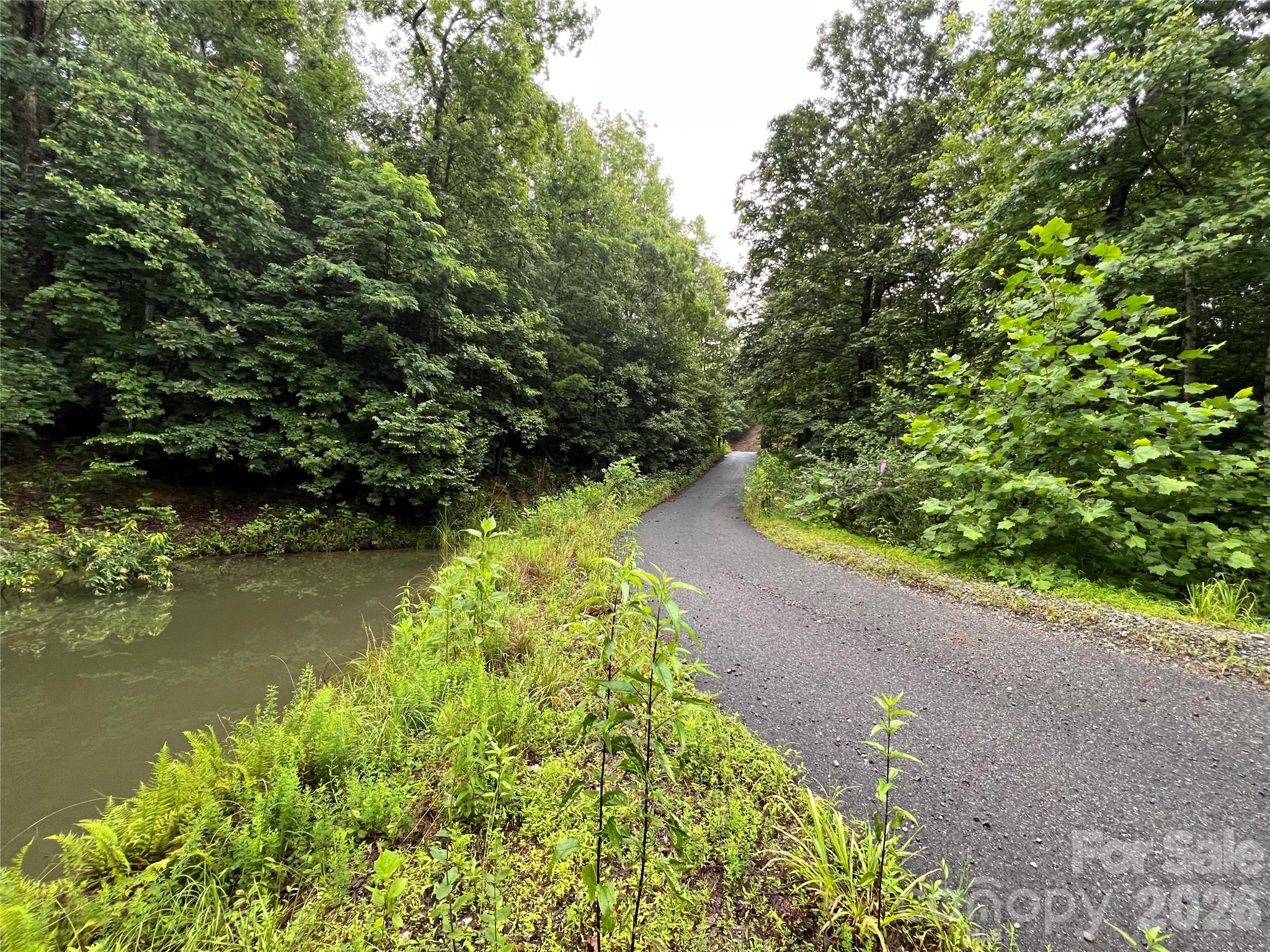 Tbd Staghorn Road Purlear NC 28665
