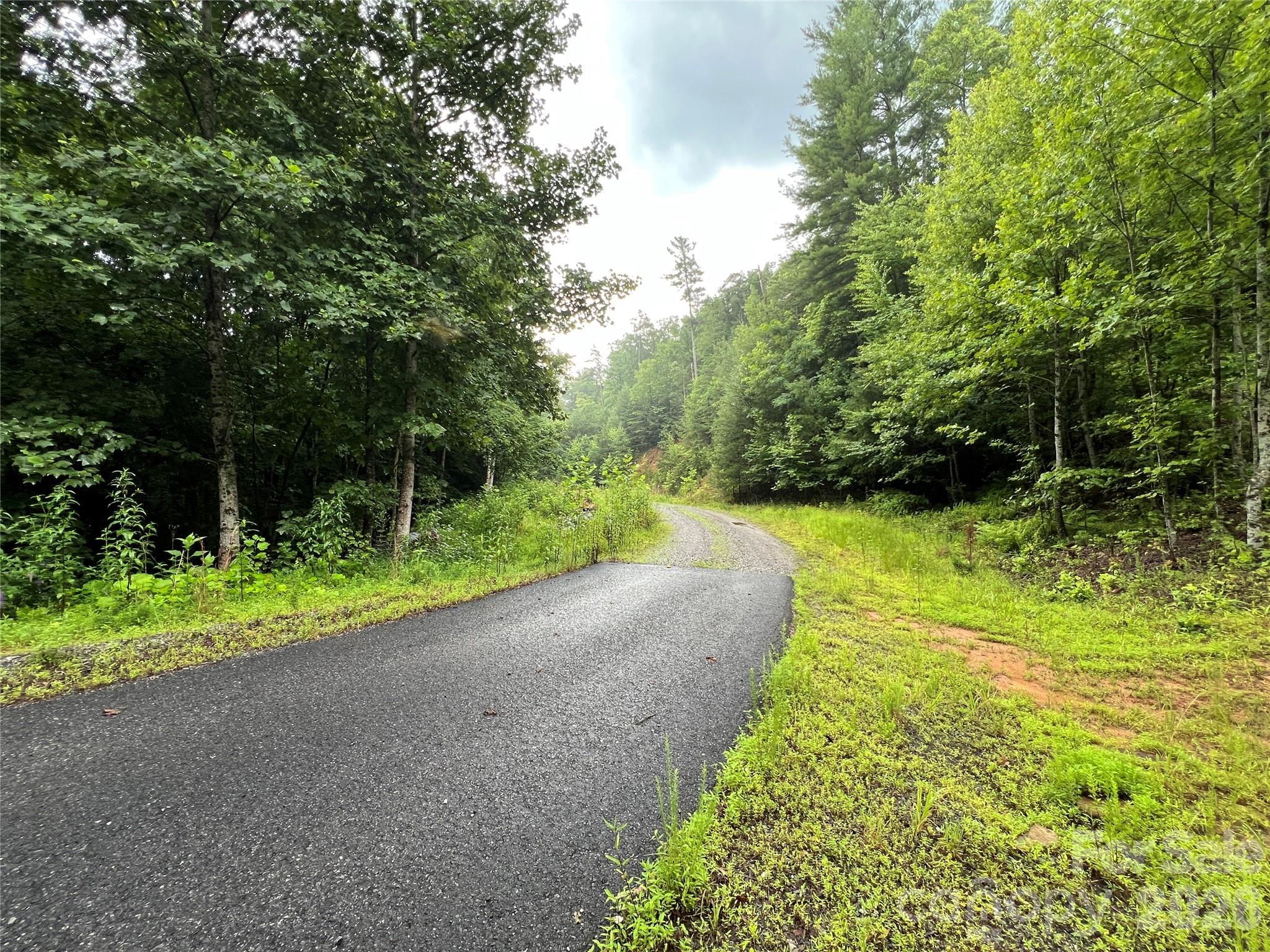 Tbd Staghorn Road Purlear NC 28665