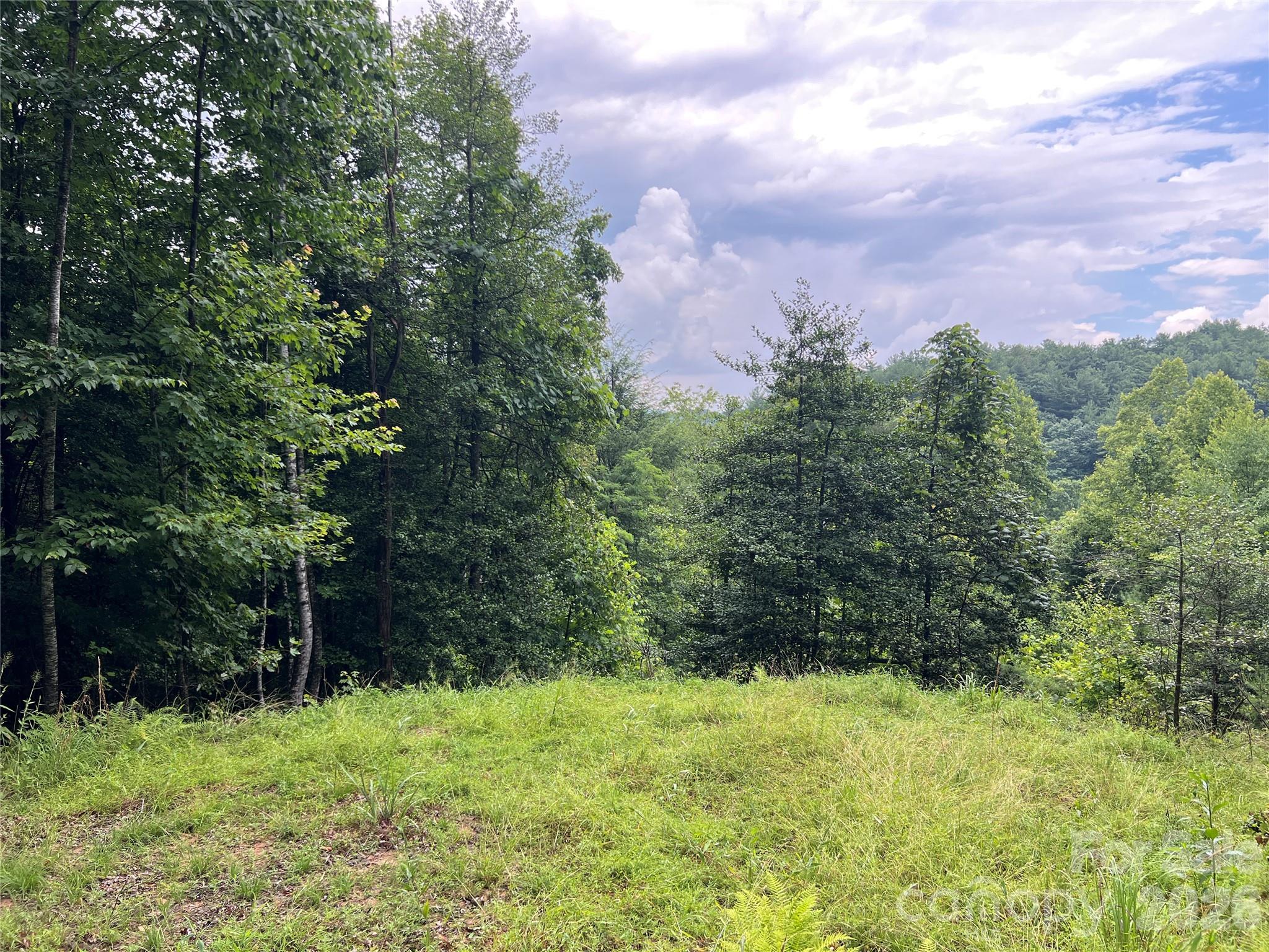 Tbd Staghorn Road Purlear NC 28665