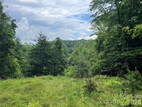 Tbd Staghorn Road Purlear NC 28665
