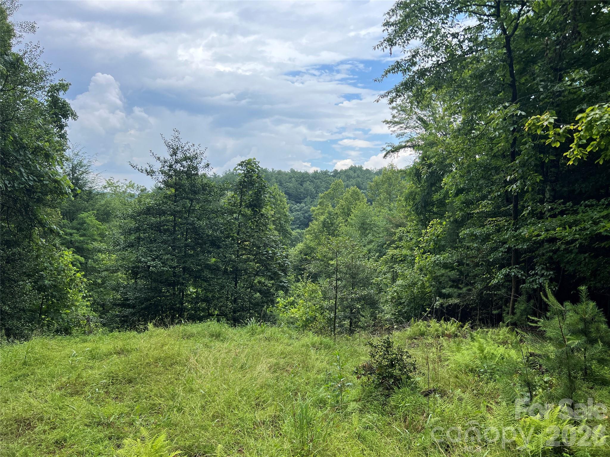 Tbd Staghorn Road Purlear NC 28665