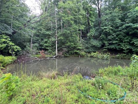 Tbd Staghorn Road Purlear NC 28665