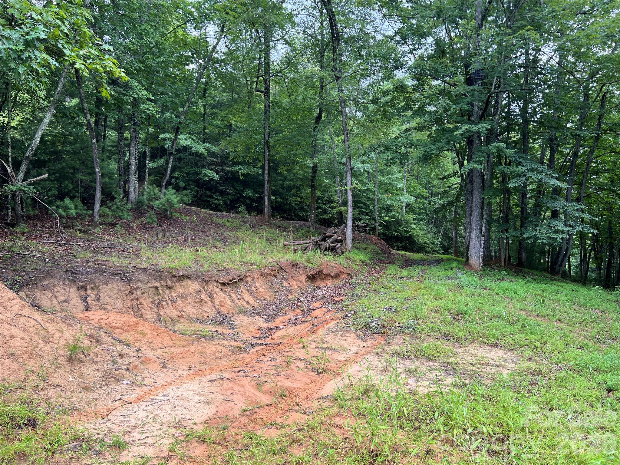 Tbd Staghorn Road Purlear NC 28665