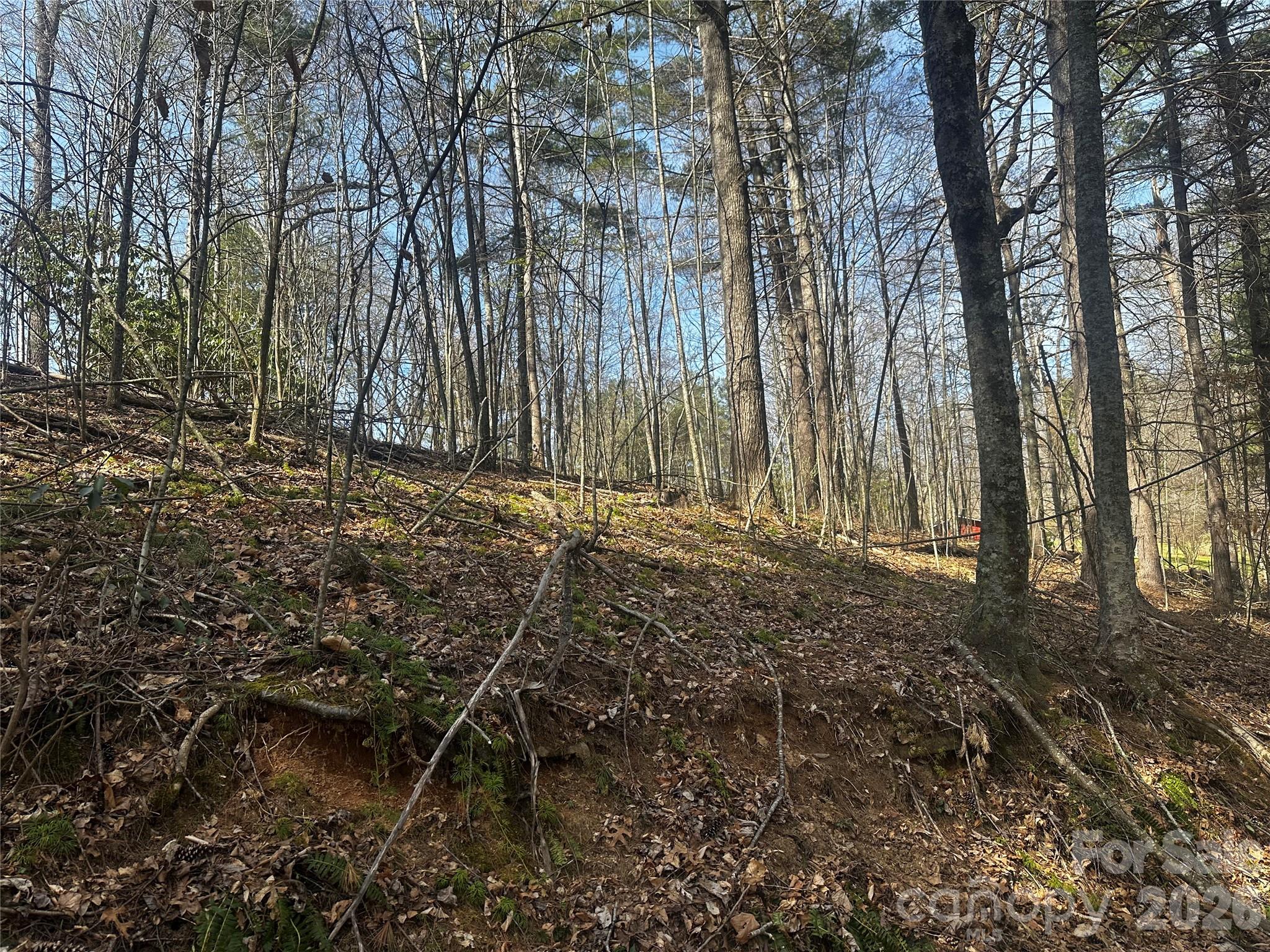 00 Saw Mill Hollow Burnsville NC 28714