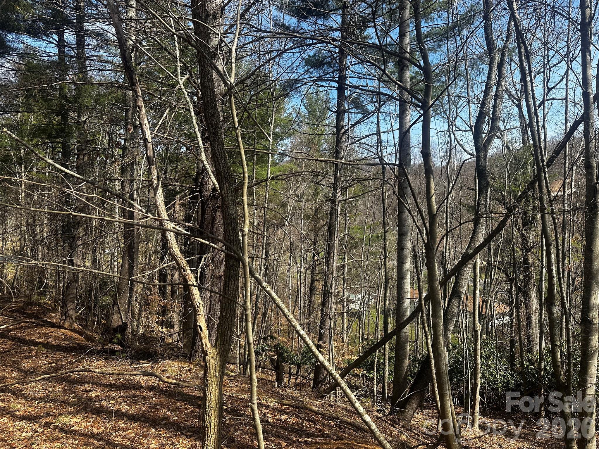 00 Saw Mill Hollow Burnsville NC 28714