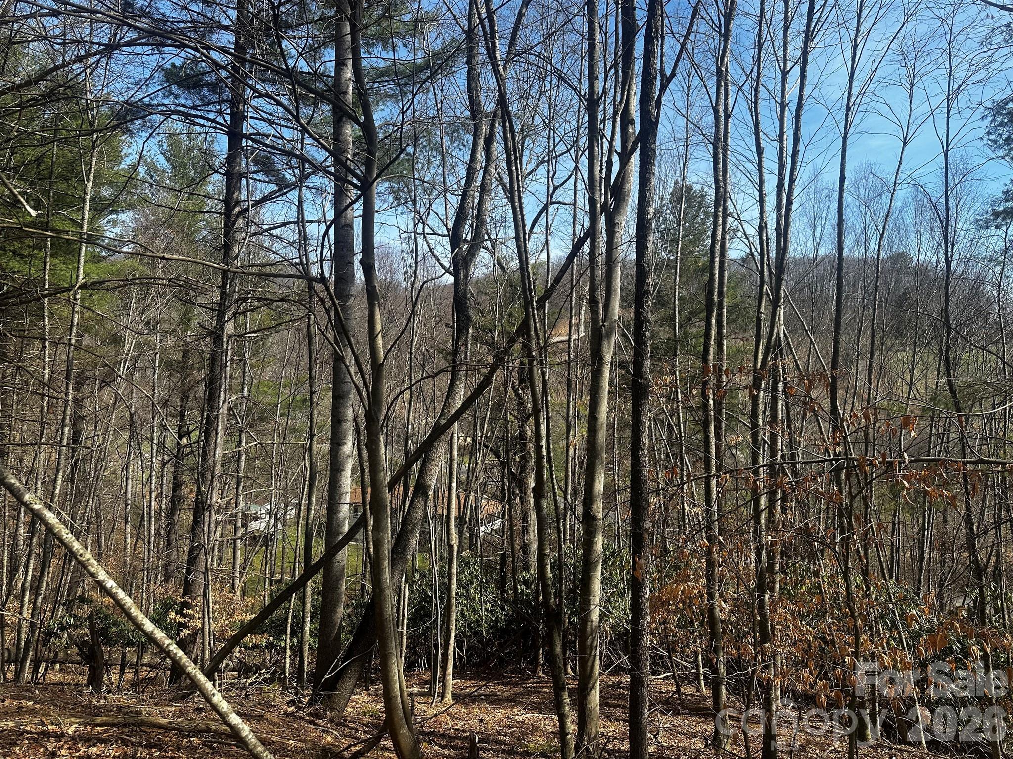 00 Saw Mill Hollow Burnsville NC 28714