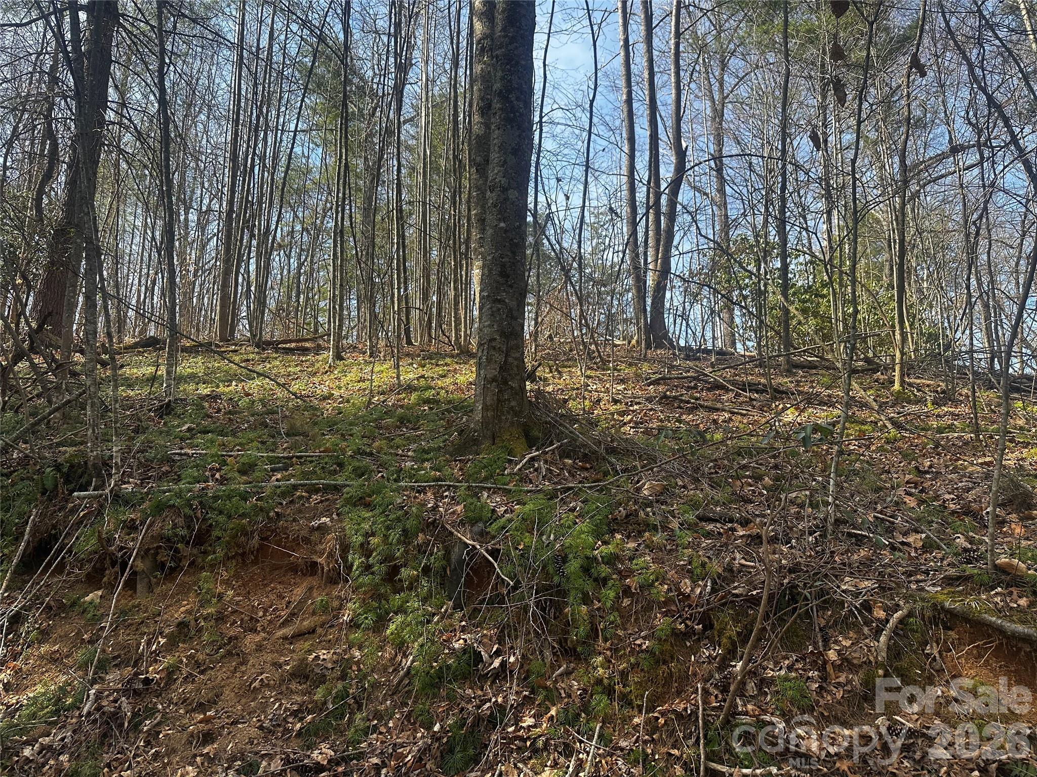 00 Saw Mill Hollow Burnsville NC 28714