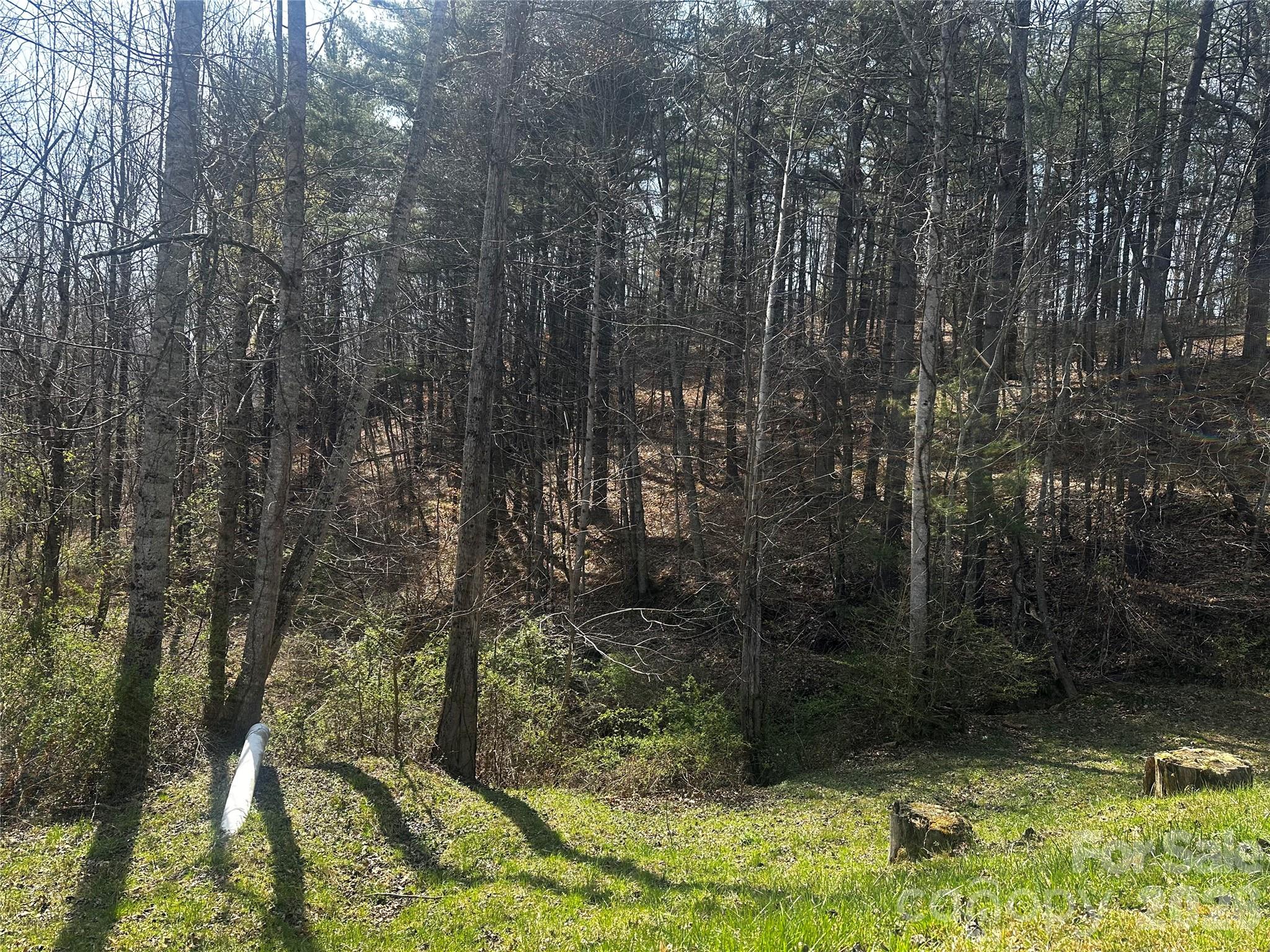00 Saw Mill Hollow Burnsville NC 28714